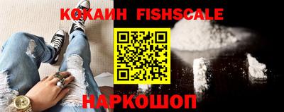 шишки Бийск