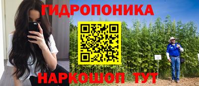 шишки Бийск