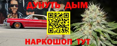 шишки Бийск