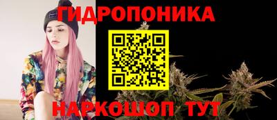 шишки Бийск