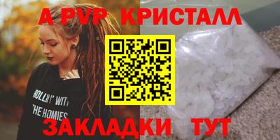 шишки Бийск