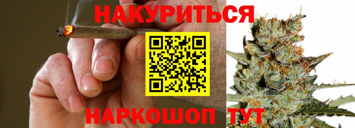 Бошки марихуана White Widow Гусиноозёрск